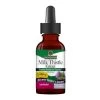 Nature's Answer Milk Thistle Alcohol Free 1oz -Health And Health Care Shop NAMilkThistle 60185.1701891657
