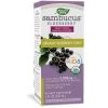 Nature's Way Sambucus For Kids Syrup Organic (Previously Enzymatic Therapy) -Health And Health Care Shop Untitleddesign 2022 05 23T161533.032 48207.1683374561