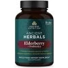 Ancient Nutrition Elderberry + Probiotics 60 Capsules -Health And Health Care Shop Untitleddesign 800x be497adf 18ac 45dd b9d5 7263ed4c2654 81340.1701889507